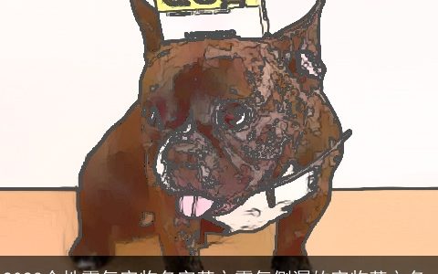 2023个性霸气宠物名字英文霸气侧漏的宠物英文名_