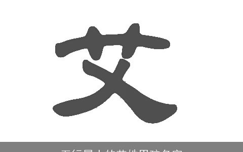 五行属土的艾姓男孩名字
