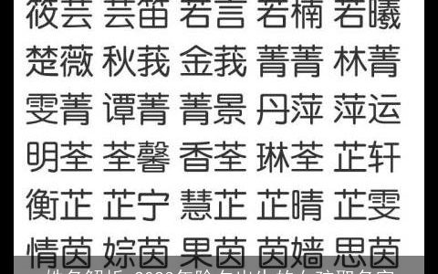 姓名解析 2023年除夕出生的女孩取名字