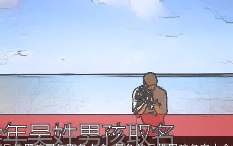 吴姓男孩属龙取名大全 属龙的吴姓男孩名字大全