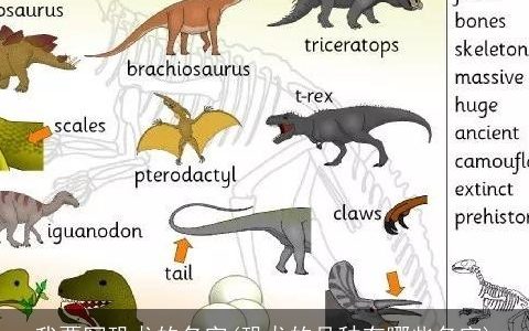我要写恐龙的名字(恐龙的品种有哪些名字)