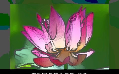 森系网名简单气质 佛系