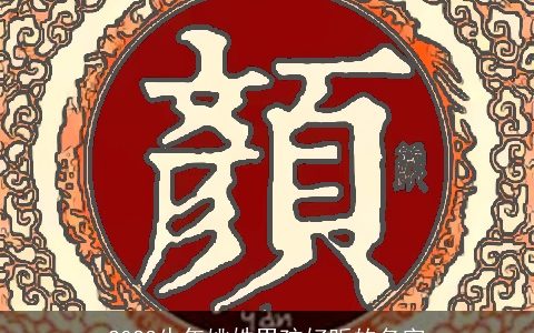 2023牛年姚姓男孩好听的名字