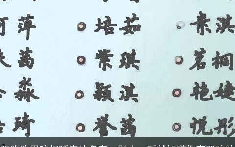 双胞胎男孩相呼应的名字  别人一听就知道你家双胞胎