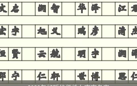 2023年好听的伍姓女宝宝名字