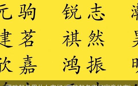 男孩起名用什么字好(男孩起名字好寓意的字)