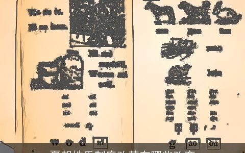 夏朝姓氏制度改革有哪些改变