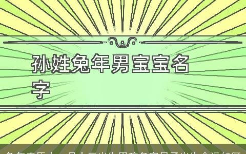 兔年农历十一月十三出生男孩名字日子出生命运如何