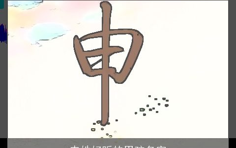 申姓好听的男孩名字