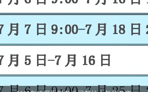 2024年适用于财务公司简约大气的名字