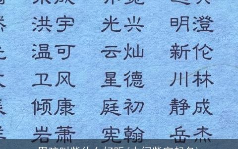男孩叫紫什么好听(中间紫字起名)