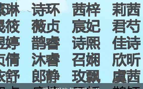 罗姓男孩名字最高分