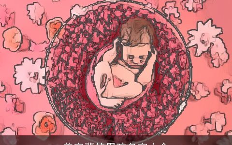 善字辈的男孩名字大全