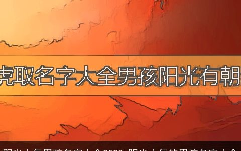 阳光大气男孩名字大全2024 阳光大气的男孩名字大全