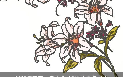 2024年宝宝小名大全 别致的乳名属牛