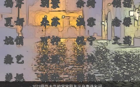 2024霸气大气的宝宝取名出自唐诗宋词的天真洒脱丰神如玉的男孩名字大全_挑选