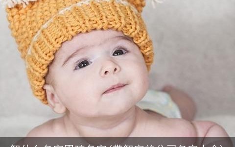 智什么名字男孩名字(带智字的公司名字大全)