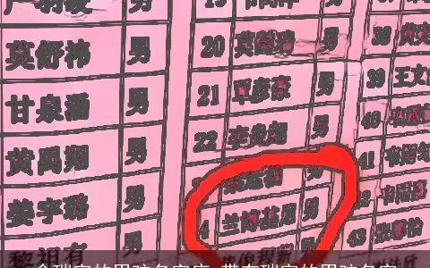 含瑞字的男孩名字库 带有瑞字的男孩名字