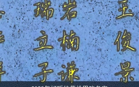 2023年好听的黄姓男孩名字