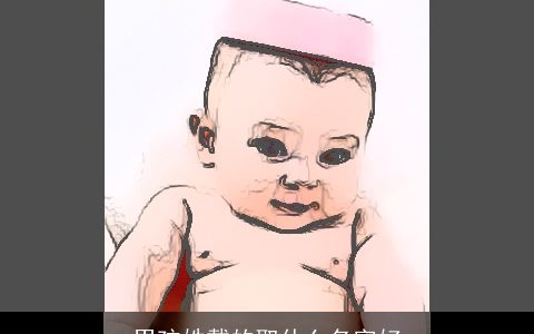 男孩姓戴的取什么名字好