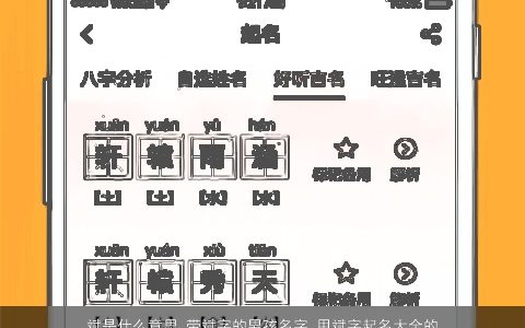 斌是什么意思 带斌字的男孩名字 用斌字起名大全的寓意 2024有涵养寓意的带斌字男孩名字大全最新