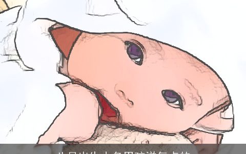 八月出生小名男孩洋气点的