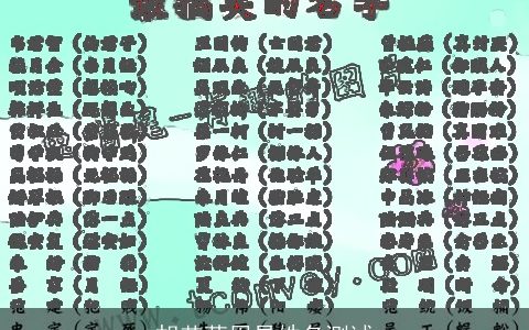 胡艾萌周易姓名测试