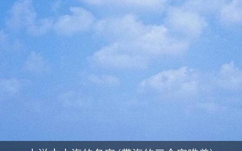 小说中大海的名字(带海的三个字唯美)