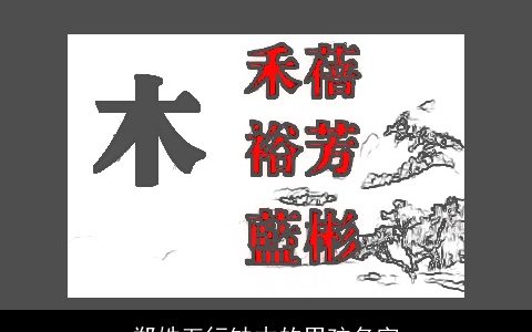 郑姓五行缺木的男孩名字