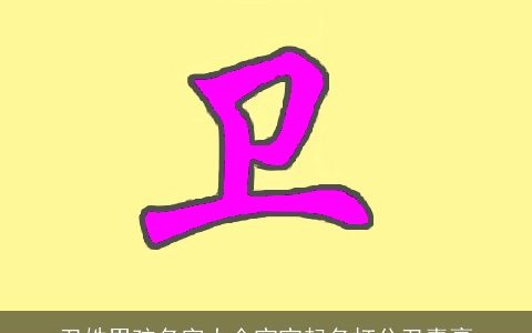 卫姓男孩名字大全宝宝起名打分卫嘉豪