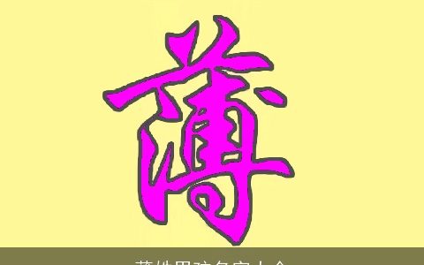 薄姓男孩名字大全