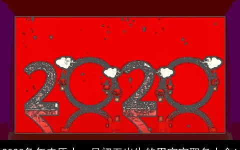 2023兔年农历十一月初五出生的男宝宝取名大全1