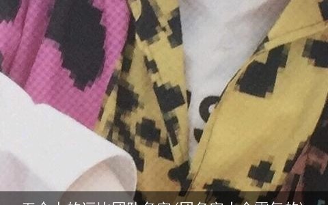 五个人的逗比团队名字(团名字大全霸气的)