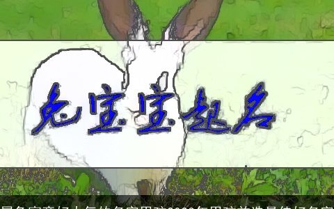 属兔寓意好大气的名字男孩2023年男孩首选最佳好名字