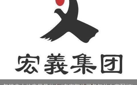 气魄宏大的意思是什么(宏字取公司名与什么字配好)