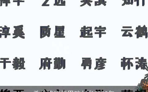 孔姓维字辈男孩起名2023年