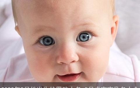 2023年5月份出生的男孩小名 5月虎宝宝乳名大全