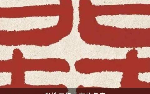 张姓五格大吉的名字