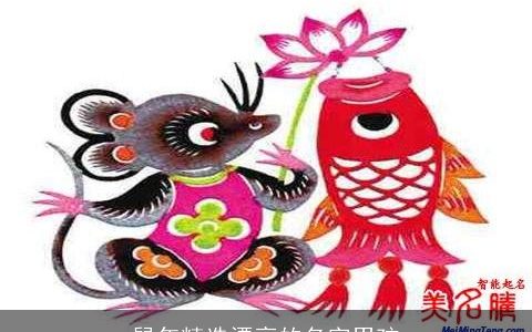 鼠年精选漂亮的名字男孩