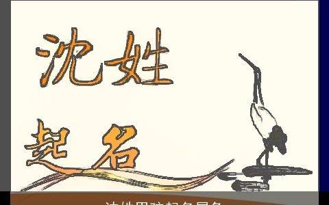 沈姓男孩起名属龙