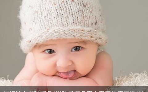 属猪缺土男孩取名(男孩子取名带土字旁的字有哪些)