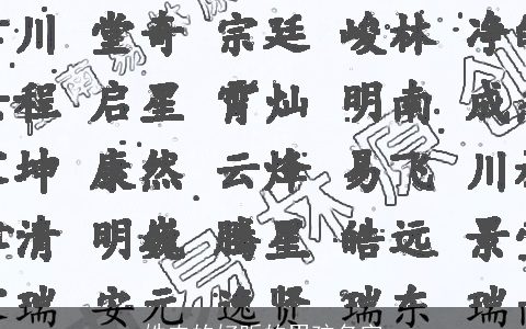 姓农的好听的男孩名字