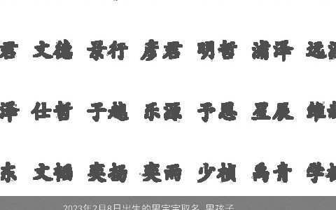 2023年2月8日出生的男宝宝取名 男孩子取名大全寓意好的字 帅气寓意的男宝宝男孩名字