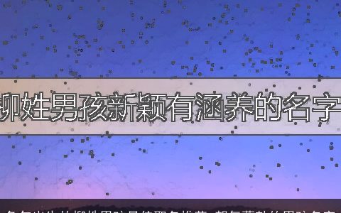 兔年出生的柳姓男孩最佳取名推荐 朝气蓬勃的男孩名字