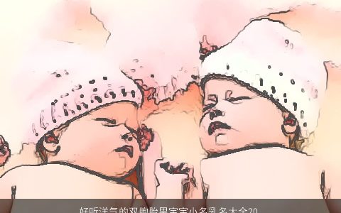 好听洋气的双胞胎男宝宝小名乳名大全2023 好听洋气的双胞胎男宝宝小名乳名名字