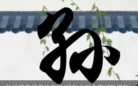 孙姓取有涵养的名字(姓孙女孩名字好听洋气)