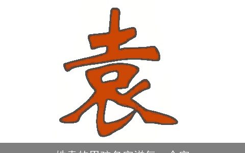 姓袁的男孩名字洋气一个字