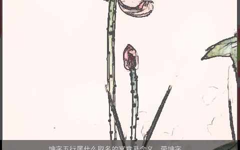 坤字五行属什么取名的寓意及含义  带坤字的男孩名字大全 帅气寓意的带字男孩名字精挑