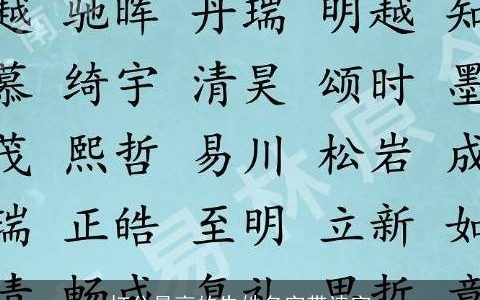打分最高的朱姓名字带诗字