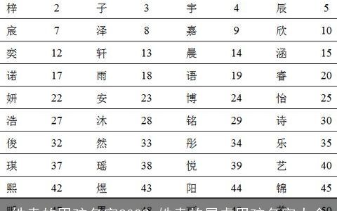姓袁的男孩名字2023 姓袁的属虎男孩名字大全